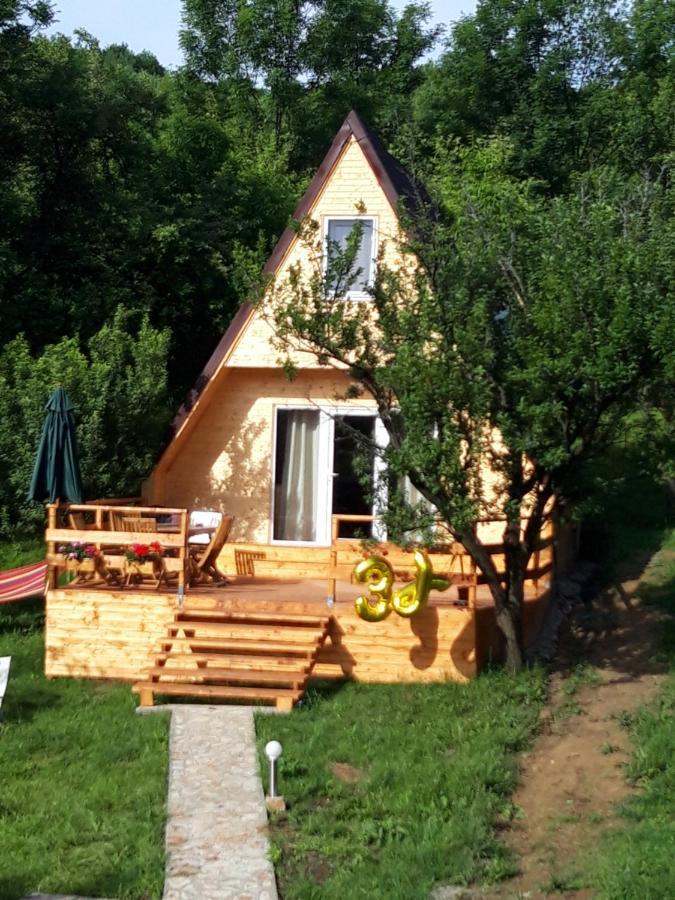 Cabana din livada Pucioasa Esterno foto